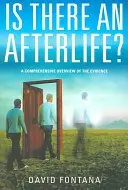 Existuje posmrtný život? A Comprehensive Overview of the Evidence (Ucelený přehled důkazů) - Is There an Afterlife?: A Comprehensive Overview of the Evidence