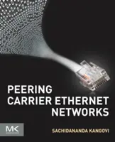 Peering sítí Carrier Ethernet - Peering Carrier Ethernet Networks