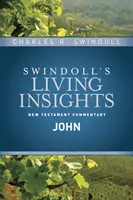 Postřehy k Janovi - Insights on John