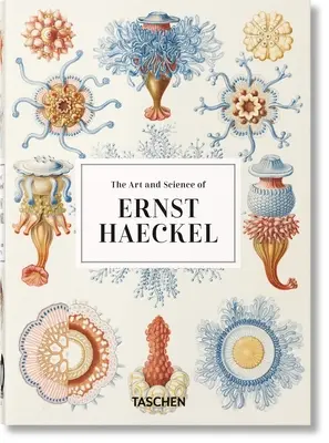 Umění a věda Ernsta Haeckela. 40. vydání. - The Art and Science of Ernst Haeckel. 40th Ed.