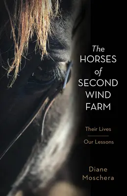 Koně z farmy Second Wind: Jejich životy - naše lekce - The Horses of Second Wind Farm: Their Lives - Our Lessons
