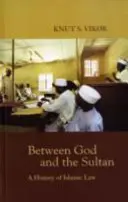 Mezi Bohem a sultánem - Dějiny islámského práva - Between God and the Sultan - A History of Islamic Law