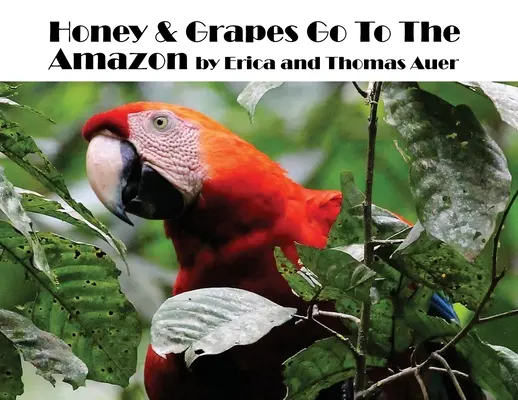 Med a hrozny do Amazonie - Honey & Grapes Go To The Amazon