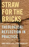 Sláma na cihly: Teologická reflexe v praxi - Straw for the Bricks: Theological Reflection in Practice