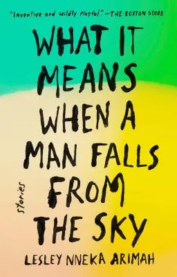 Co to znamená, když člověk spadne z nebe: Příběhy - What It Means When a Man Falls from the Sky: Stories