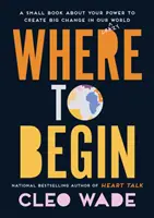 Kde začít - Malá kniha o vaší moci vytvořit velkou změnu v našem bláznivém světě - Where to Begin - A Small Book about Your Power to Create Big Change in Our Crazy World