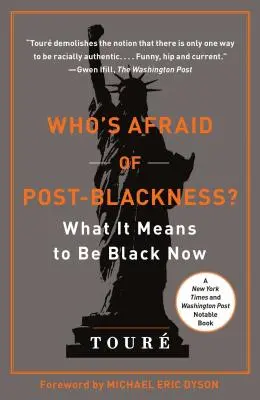 Kdo se bojí postčernošství: Co to znamená být černochem v současnosti? - Who's Afraid of Post-Blackness?: What It Means to Be Black Now