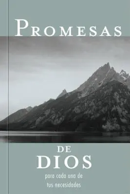 Promesas de Dios Para Cada Una de Tus Necesidades = Boží sliby pro každou vaši potřebu - Promesas de Dios Para Cada Una de Tus Necesidades = God's Promises for Your Every Need
