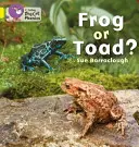 Žába nebo ropucha? - Frog or Toad?