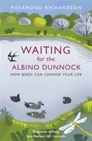 Čekání na albinotického pěvce: Jak mohou ptáci změnit váš život - Waiting for the Albino Dunnock: How Birds Can Change Your Life