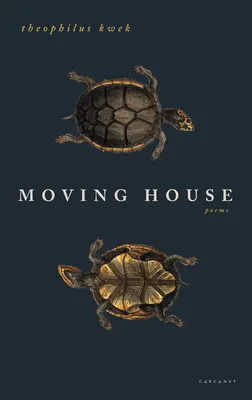 Stěhování domů - Moving House