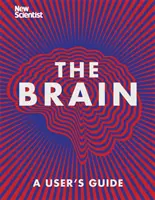 Mozek - vše, co potřebujete vědět - Brain - Everything You Need to Know