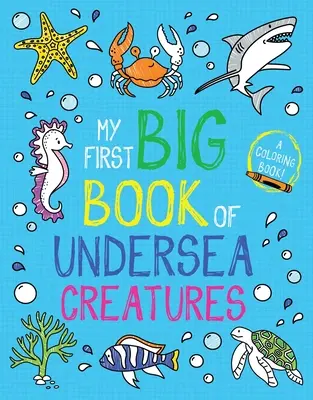 Moje první velká kniha podmořských tvorů - My First Big Book of Undersea Creatures