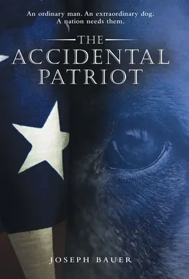 Náhodný vlastenec - The Accidental Patriot