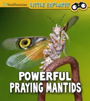 Mocné kudlanky nábožné - Powerful Praying Mantises