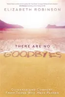 Není loučení - Průvodce a útěcha od těch, kteří odešli - There Are No Goodbyes - Guidance and Comfort From Those Who Have Passed