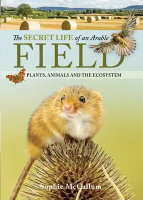 Tajný život orného pole: Rostliny, živočichové a ekosystém: tajemství polního pole. - The Secret Life of an Arable Field: Plants, Animals and the Ecosystem