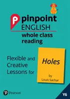 Pinpoint English Whole Class Reading Y6: Holes - Flexible and Creative Lessons for Holes (autor: Louis Sachar) - Pinpoint English Whole Class Reading Y6: Holes - Flexible and Creative Lessons for Holes (by Louis Sachar)