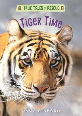 Čas tygrů - Tiger Time