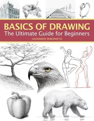Základy kreslení: Kreslení pro začátečníky: Základní příručka pro začátečníky (The Ultimate Guide for Beginners) - Basics of Drawing: The Ultimate Guide for Beginners