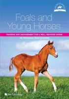 Hříbata a mladí koně: Hříbata: Výcvik a vedení dobře vychovaného koně: Hříbata a koně: Výcvik a vedení dobře vychovaného koně - Foals and Young Horses: Training and Management for a Well-Behaved Horse