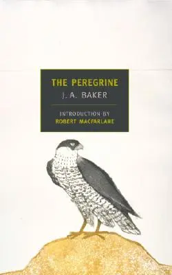 Sokol stěhovavý - The Peregrine