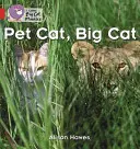 Domácí kočka, velká kočka - Pet Cat, Big Cat