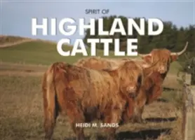 Duch horského skotu - Spirit of Highland Cattle