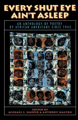 Každé zavřené oko nespí: Antologie poezie Afroameričanů od roku 1945 - Every Shut Eye Ain't Asleep: An Anthology of Poetry by African Americans Since 1945