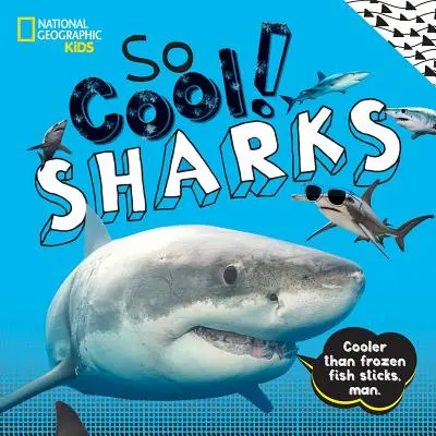 Tak super! Žraloci - So Cool! Sharks