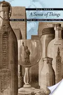 Smysl věcí: The Object Matter of American Literature - A Sense of Things: The Object Matter of American Literature
