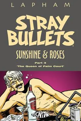 Zbloudilé kulky: Sluneční svit a růže, svazek 3 - Stray Bullets: Sunshine & Roses Volume 3