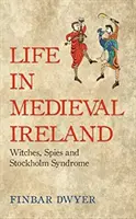 Život ve středověkém Irsku - Life in Medieval Ireland