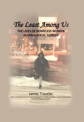 Nejmenší z nás: Všichni nejmenší: Život žen bez domova ve Springfieldu ve státě Illinois - The Least Among Us: The Lives of Homeless Women in Springfield, Illinois