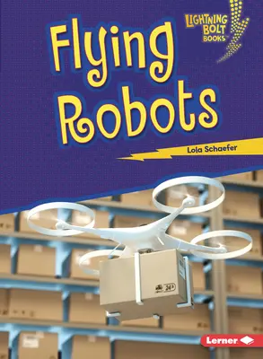 Létající roboti - Flying Robots