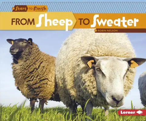Od ovce ke svetru - From Sheep to Sweater