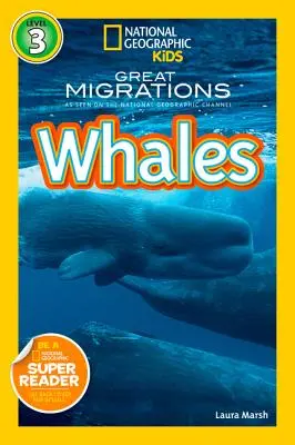 Velryby - Whales