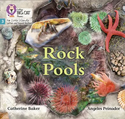 Skalní bazény - 3. fáze - Rock Pools - Phase 3