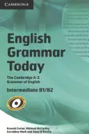 English Grammar Today Book with Workbook: A-Z mluvené a psané gramatiky s knihou - English Grammar Today Book with Workbook: An A-Z of Spoken and Written Grammar