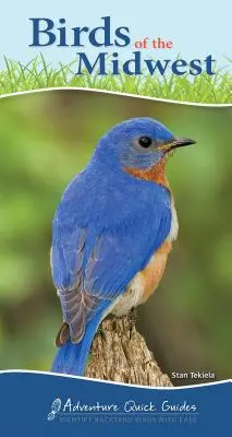 Ptáci Středozápadu: Snadné určování ptáků na dvorku: Průvodce po ptácích západního Západu: Snadné určování ptáků na dvorku. - Birds of the Midwest: Identify Backyard Birds with Ease