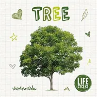 Životní cyklus stromu - Life Cycle of a Tree