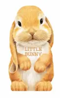 Malý zajíček - Little Bunny
