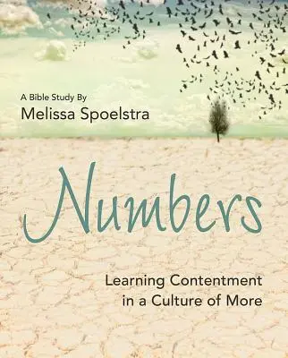 Čísla - Pracovní sešit pro účastnice biblického studia pro ženy: Učit se spokojenosti v kultuře více - Numbers - Women's Bible Study Participant Workbook: Learning Contentment in a Culture of More