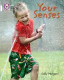 Smysly - The Senses