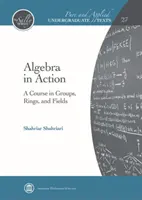 Algebra v praxi - Kurz grup, kruhů a polí - Algebra in Action - A Course in Groups, Rings, and Fields