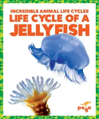 Životní cyklus medúzy - Life Cycle of a Jellyfish