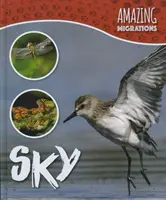Nebe - Sky