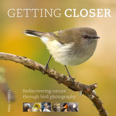 Přibližování: Znovuobjevování přírody prostřednictvím fotografování ptáků - Getting Closer: Rediscovering Nature Through Bird Photography