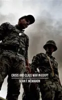 Krize a třídní válka v Egyptě: Příběh o sociální reprodukci, frakčním přeskupení a globální politické ekonomii - Crisis and Class War in Egypt: Social Reproduction, Factional Realignments and the Global Political Economy