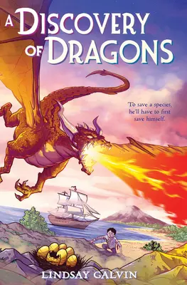 Objev draků - A Discovery of Dragons